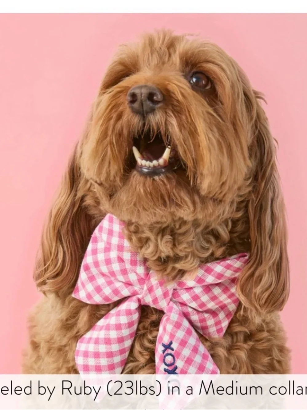 Hot Pink Gingham Lady Bow Dog Collar by foggy dog size large